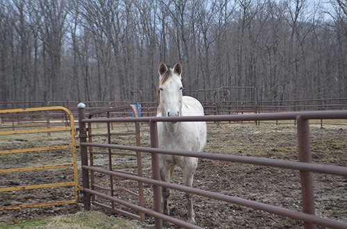 Property photo 12 - REAL ESTATE & FARM EQUIPMENT AUCTION IN ALLEN COUNTY, INDIANA